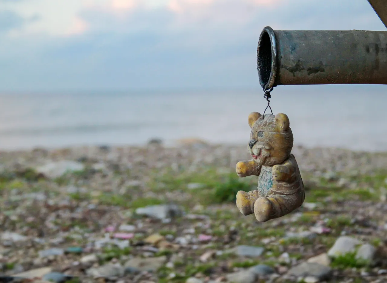 30+ Powerful Bear Names: Baloo & Yogi
