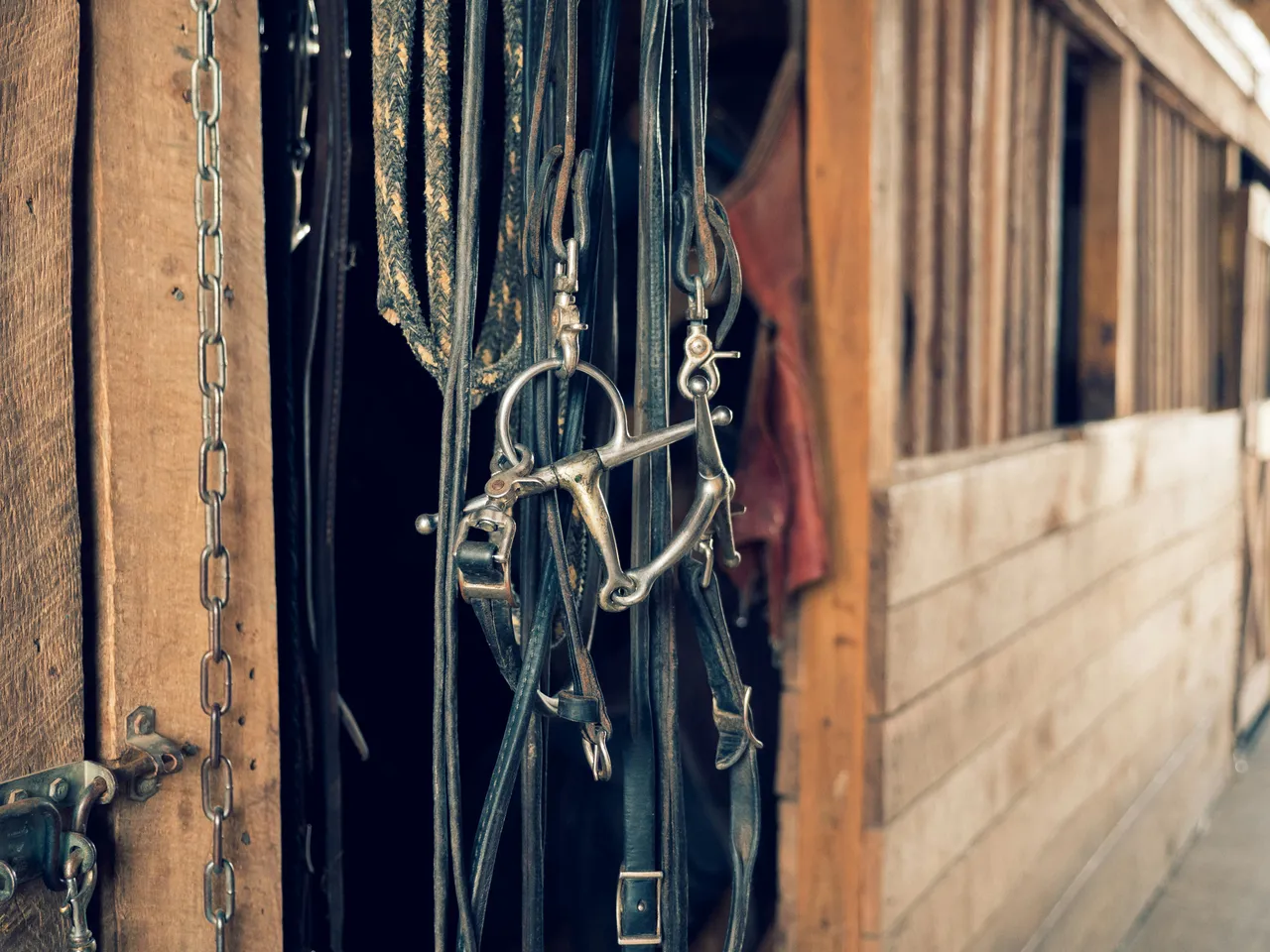 12+ Bold Cowboy Names: Western & Wild