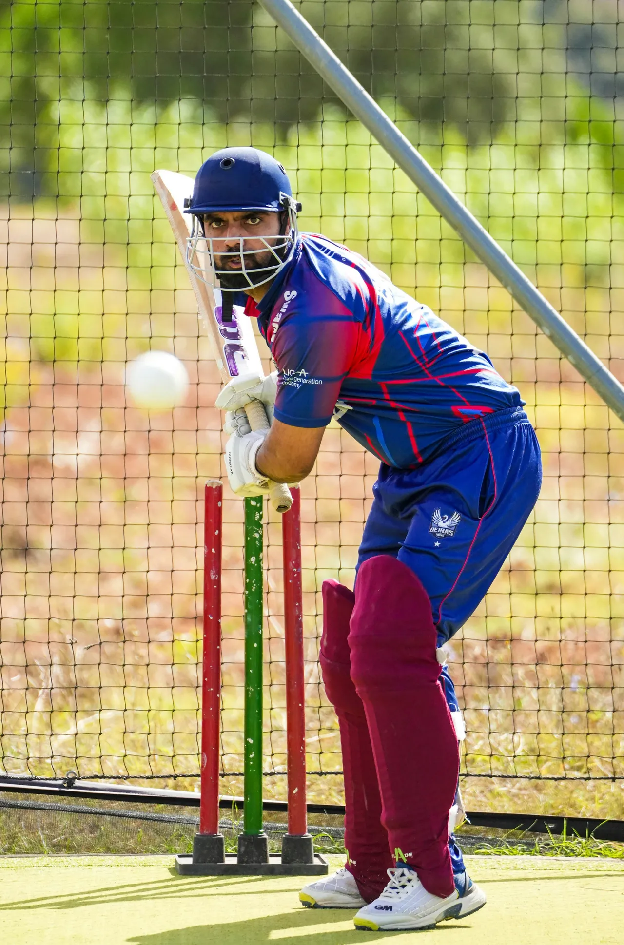 12+ Chirping Cricket Names: Field & Night