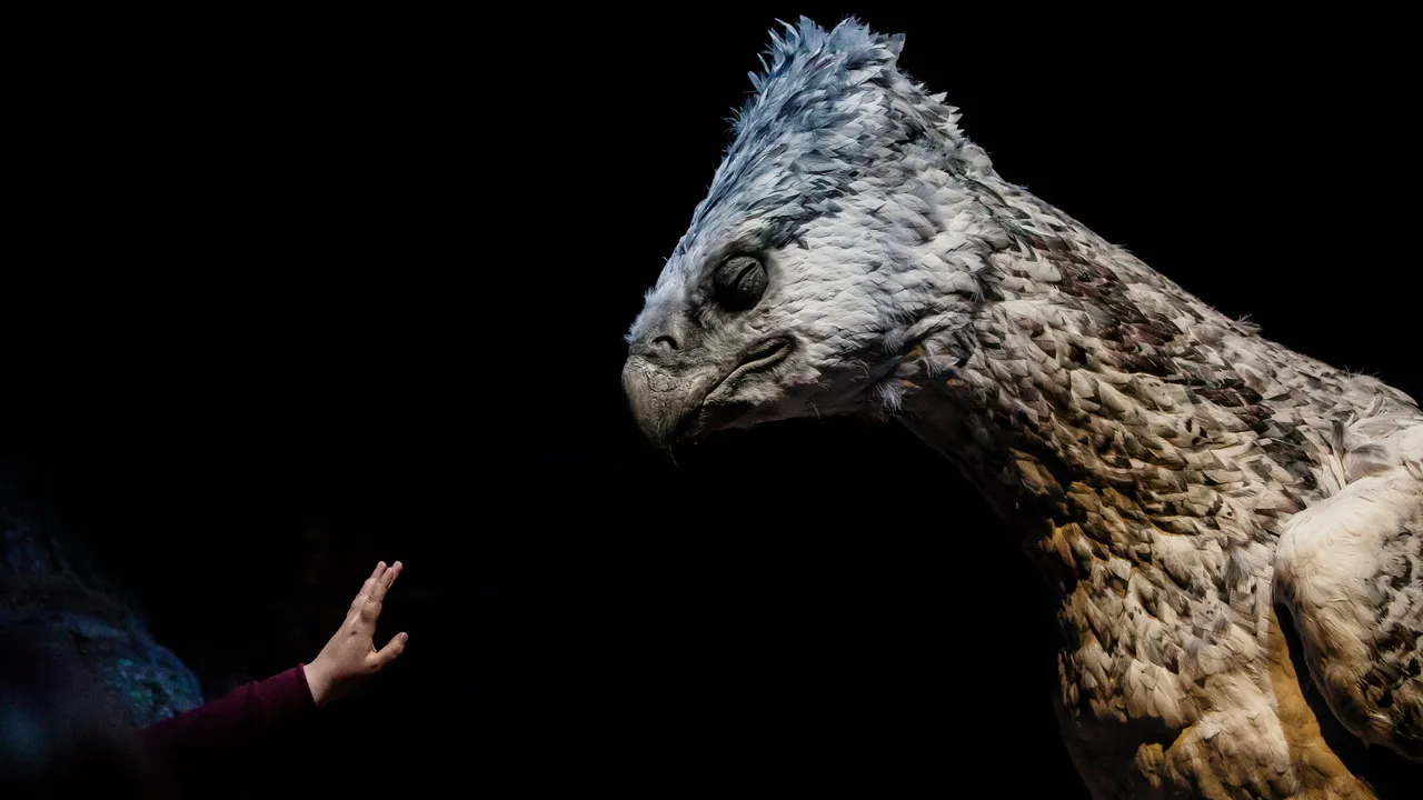 10+ Majestic Hippogriff Names: Magic & Sky