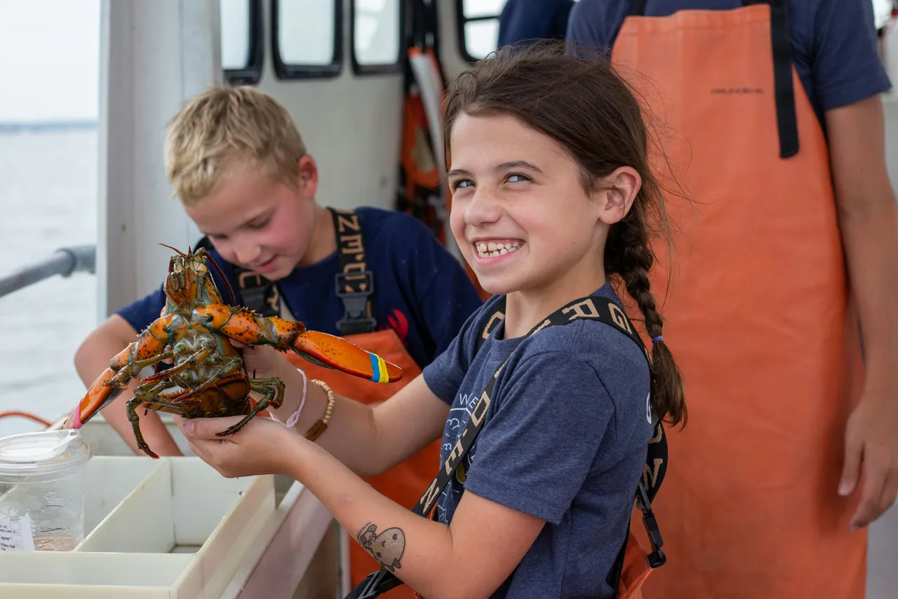 15+ Catchy Lobster Names: Sea & Shore